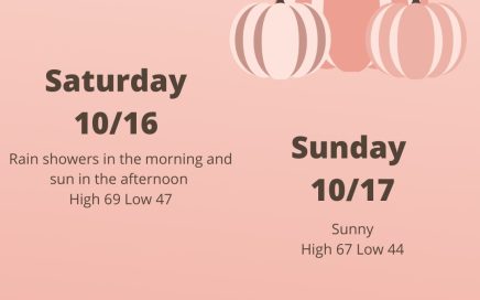 Metro Atlanta Real Estate - TPGAtlanta