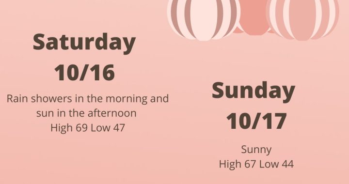 Metro Atlanta Real Estate - TPGAtlanta