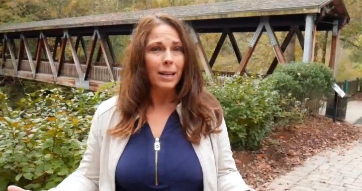 Vickery Creek and Covered Bridge