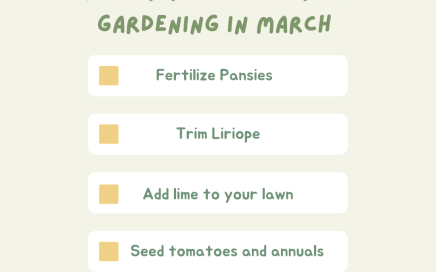 TPG Weekend Outlook 3/5 - 3/6