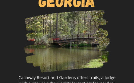 TPG Weekend 2/18 - 2/19